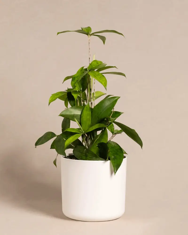 Produktbild 6