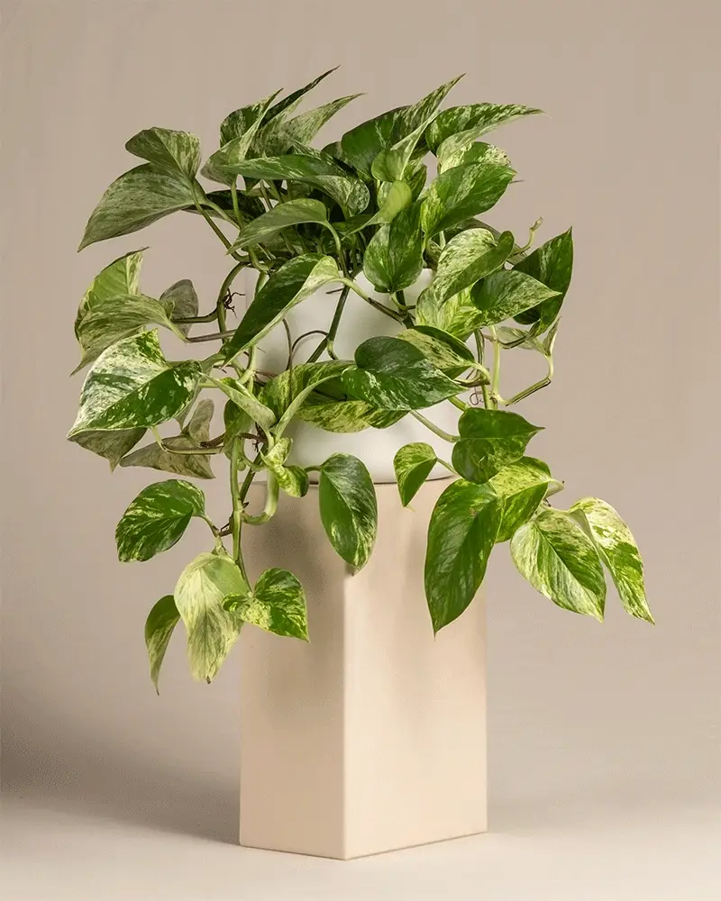Produktbild 8