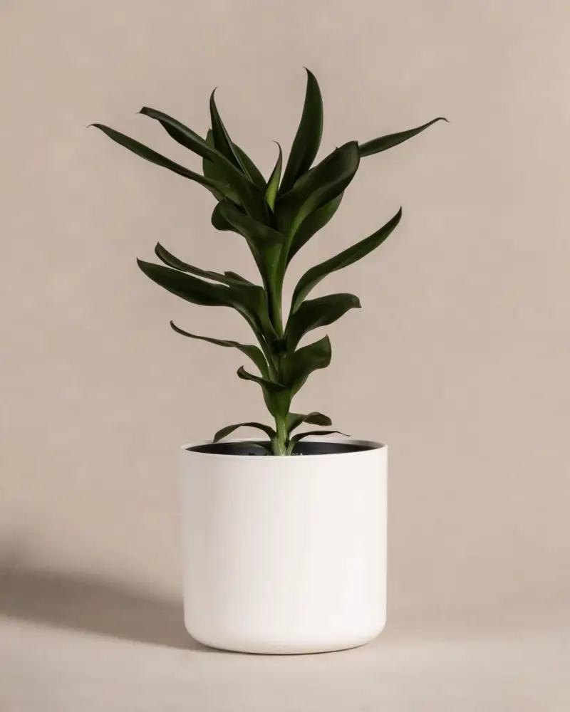 Produktbild 7