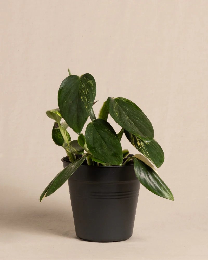 Produktbild 3