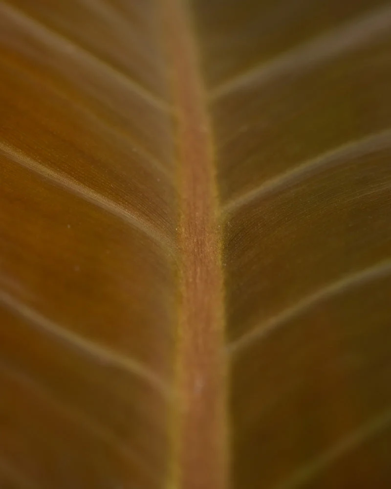Produktbild 8