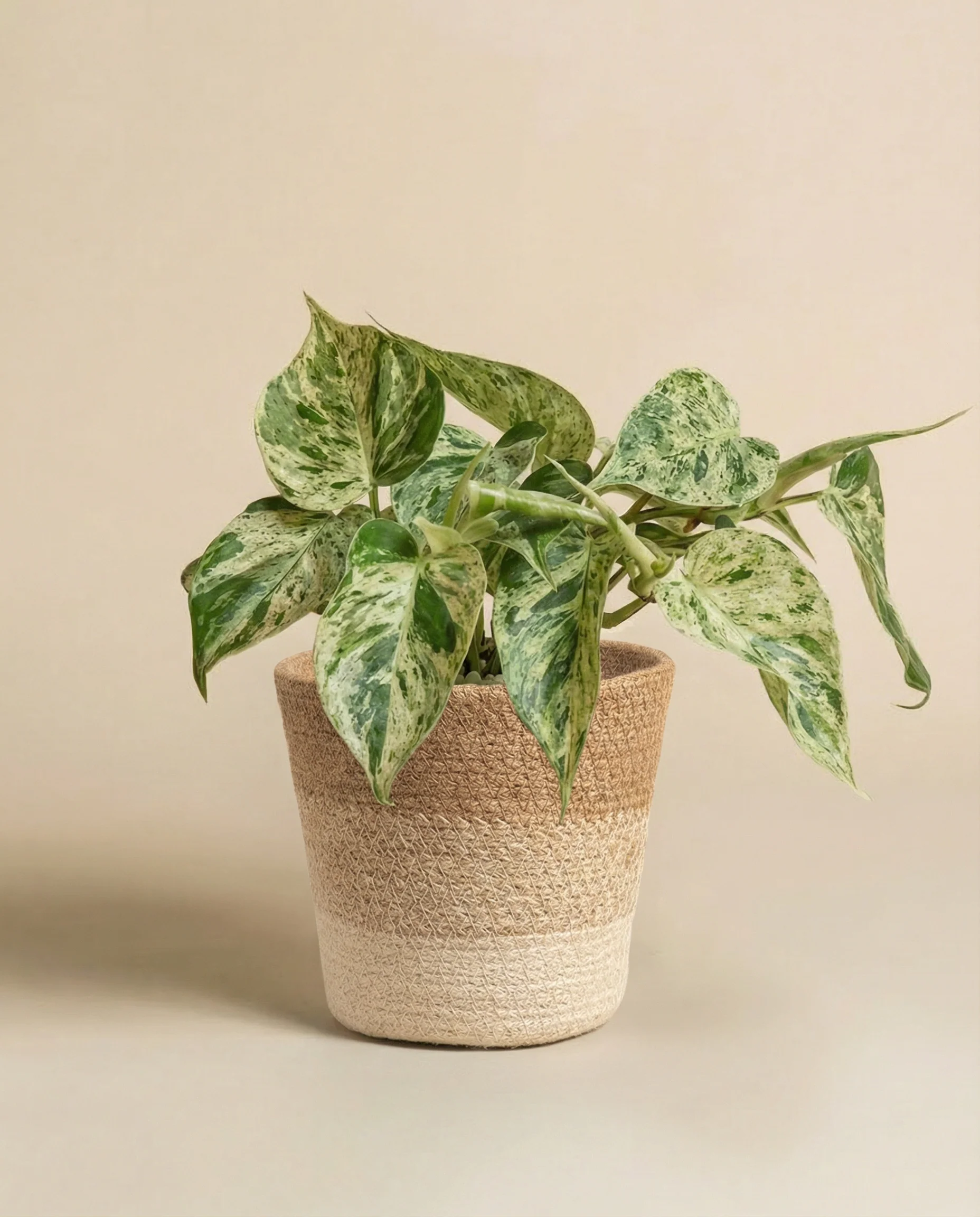 Produktbild 8