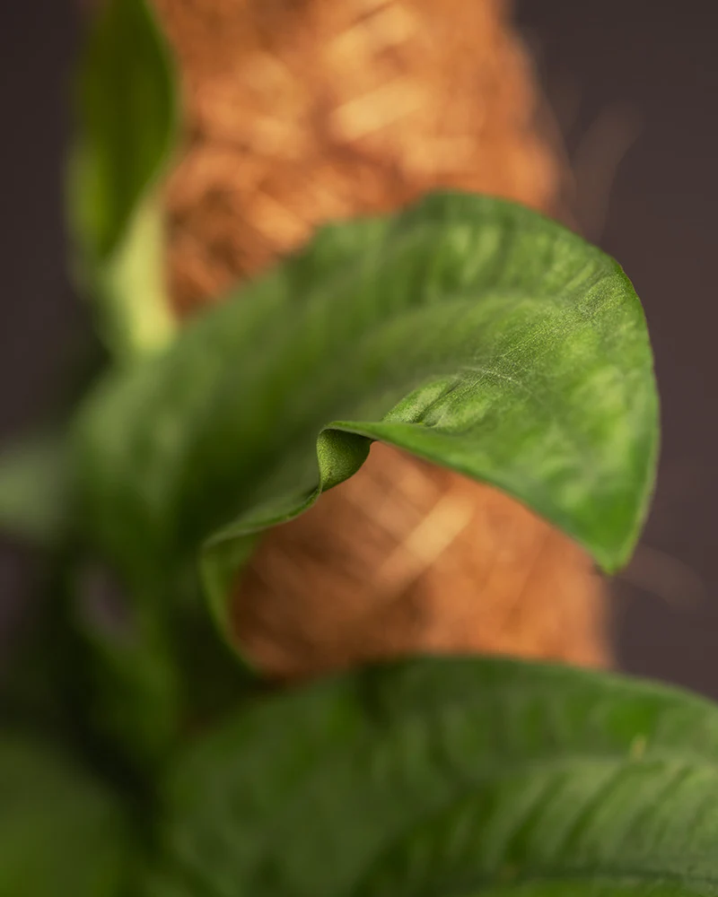 Produktbild 11