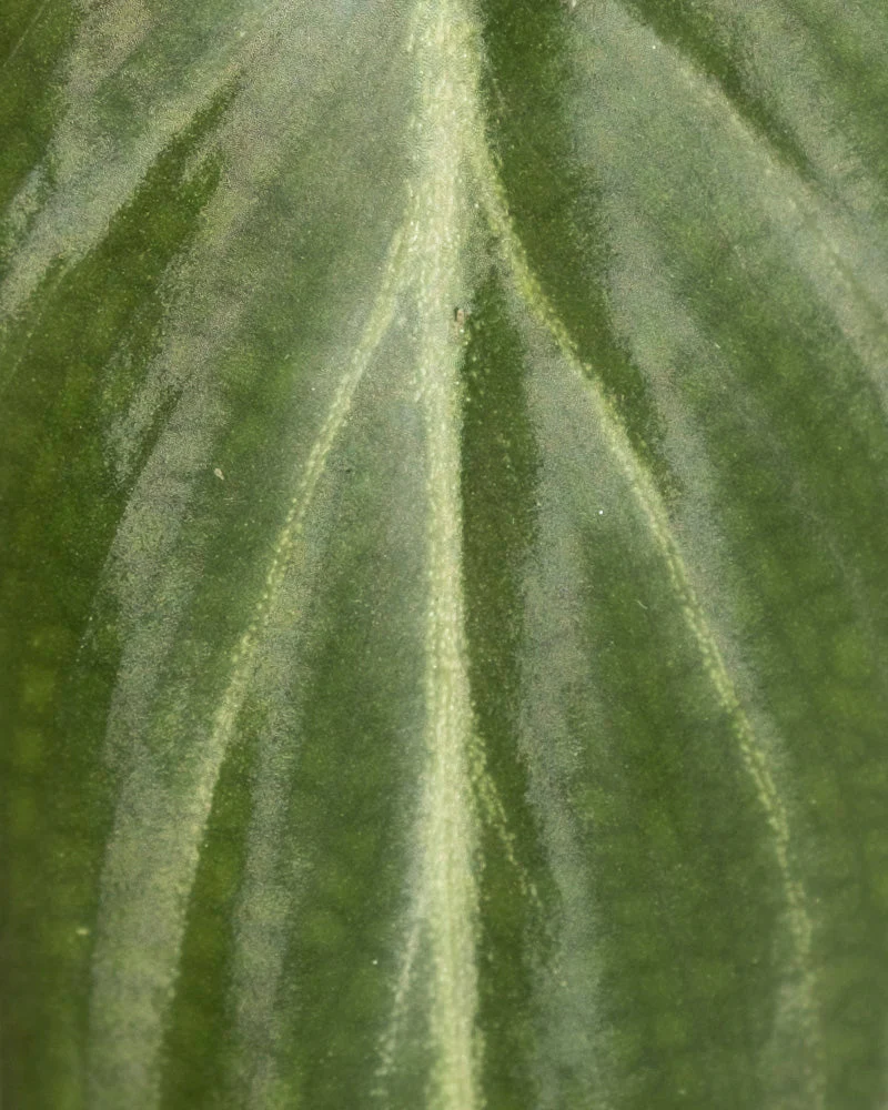 Produktbild 11