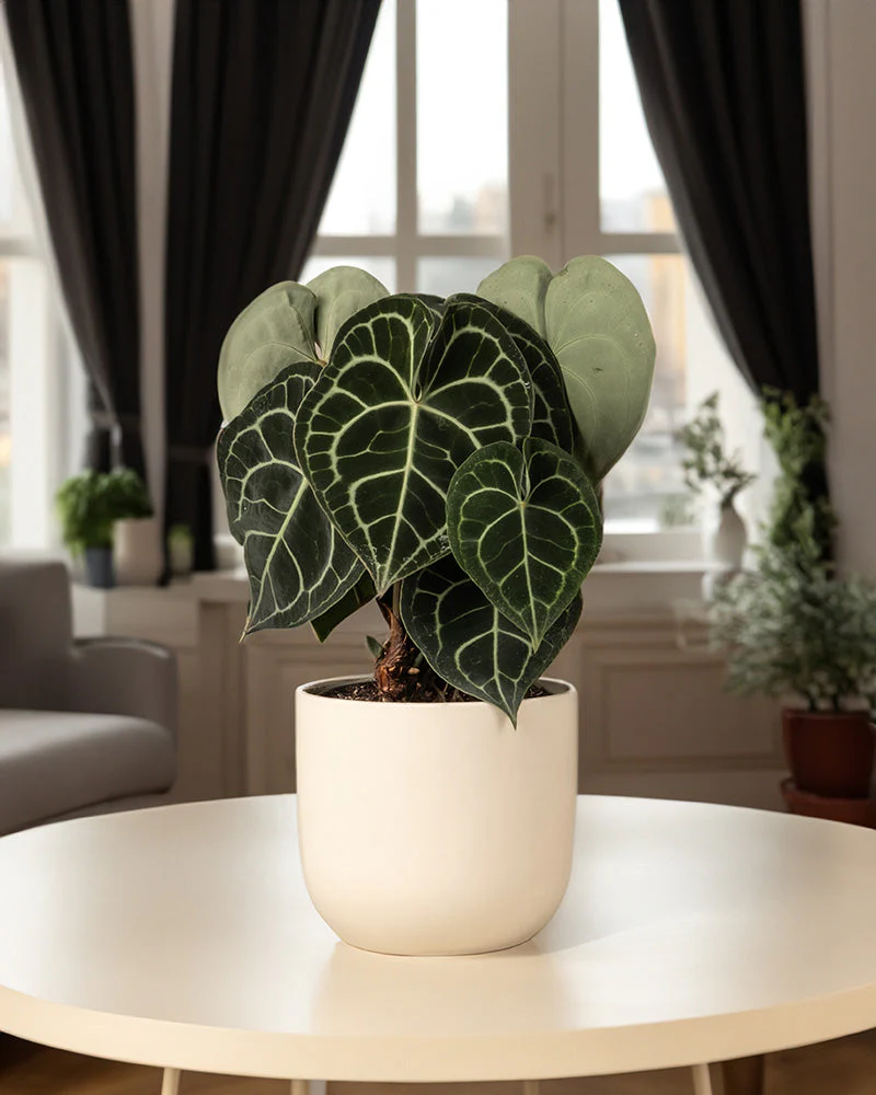 Produktbild 9